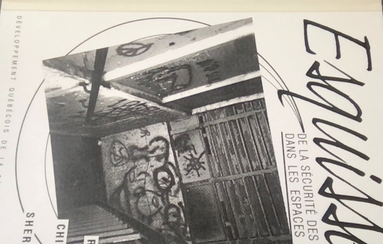 Esquisses de la sécurité des femmes dans les espaces publics : Québec, Rimouski, Chicoutimi, Sherbrooke / [conception du document, rédaction, Suzanne Grenier ; collaboration à la rédaction, Michèle Charland et Pierrette Deslandes]